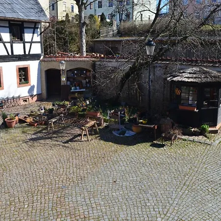 מלון Zum Frongut Burgstadt