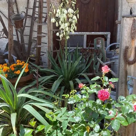 Zum Frongut Hotel 2*