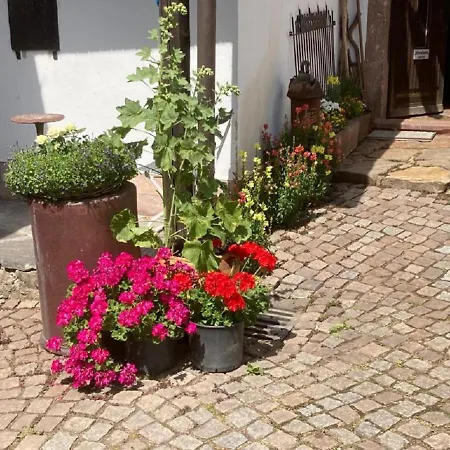 Zum Frongut