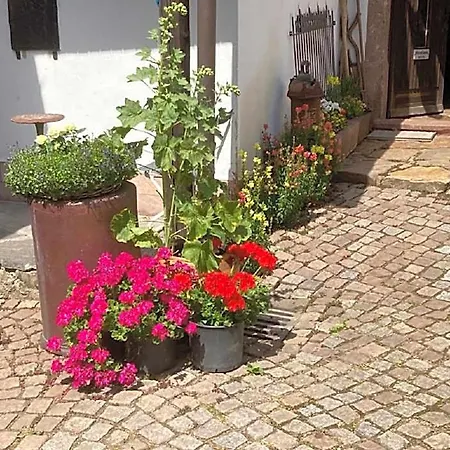 Zum Frongut Hotel 2*