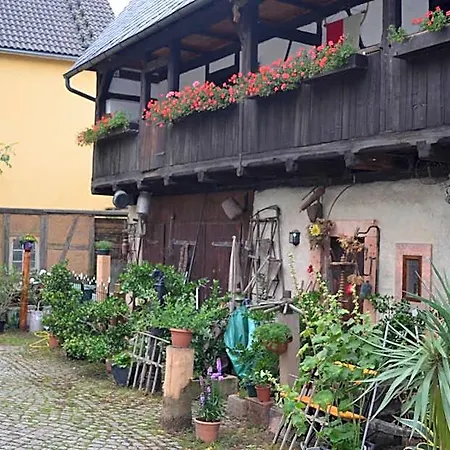 Zum Frongut Burgstadt