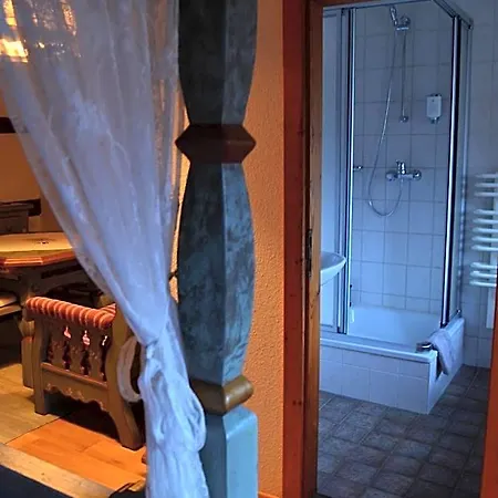 Hotel Zum Frongut 2*