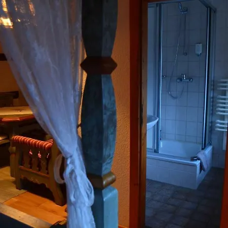 Hotell Zum Frongut Burgstadt